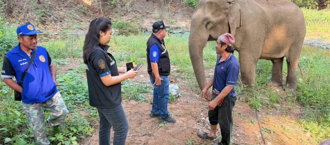 คลายความกังวล ! ปศุสัตว์แพร่ นำทีมตรวจสอบ “สีดอบูม” ตามกระแสโซเชียลเพิ่มเติม