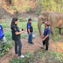 คลายความกังวล ! ปศุสัตว์แพร่ นำทีมตรวจสอบ “สีดอบูม” ตามกระแสโซเชียลเพิ่มเติม