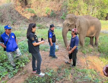 คลายความกังวล ! ปศุสัตว์แพร่ นำทีมตรวจสอบ “สีดอบูม” ตามกระแสโซเชียลเพิ่มเติม
