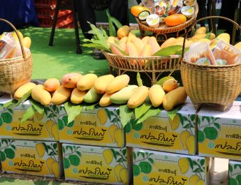 กาฬสินธุ์ เกษตรนำสื่อลุยช่วยชาวสวนมะม่วงมหาชนกกระตุ้นยอดขาย มุ่งสู่สินค้า GI เข้มมาตรฐาน เสริมการแปรรูปเพื่อยกระดับสู้วิกฤตพลังงาน