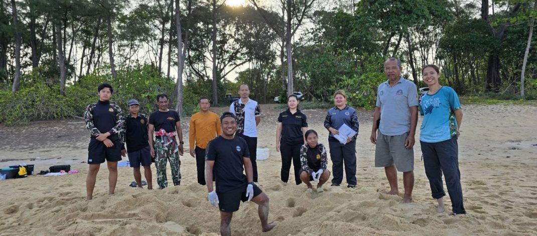 พังงา-ดีใจ… พบ “เต่ามะเฟือง” ขึ้นวางไข่นอกฤดูกาล อุทยานฯ เร่งย้ายรังสู่พื้นที่ปลอดภัย