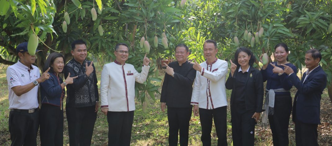 ผู้ว่าฯ กาฬสินธุ์ พาลุยสวน “มะม่วงมหาชนก” ของดีเมืองกาฬสินธุ์ ชูจุดเด่นสีสันสุดสวย เนื้อแน่นหอมหวาน รับประทานแล้วจะติดใจ