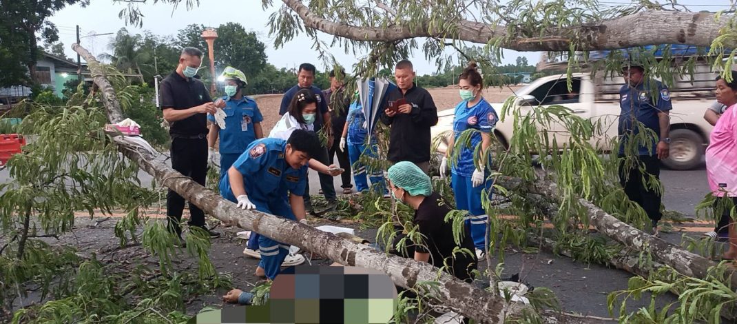 ปราจีนบุรี หนุ่มโรงงานชะตาขาดกลับไม่ถึงบ้านกิ่งไม้หักทับหัวเละ