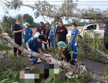ปราจีนบุรี หนุ่มโรงงานชะตาขาดกลับไม่ถึงบ้านกิ่งไม้หักทับหัวเละ