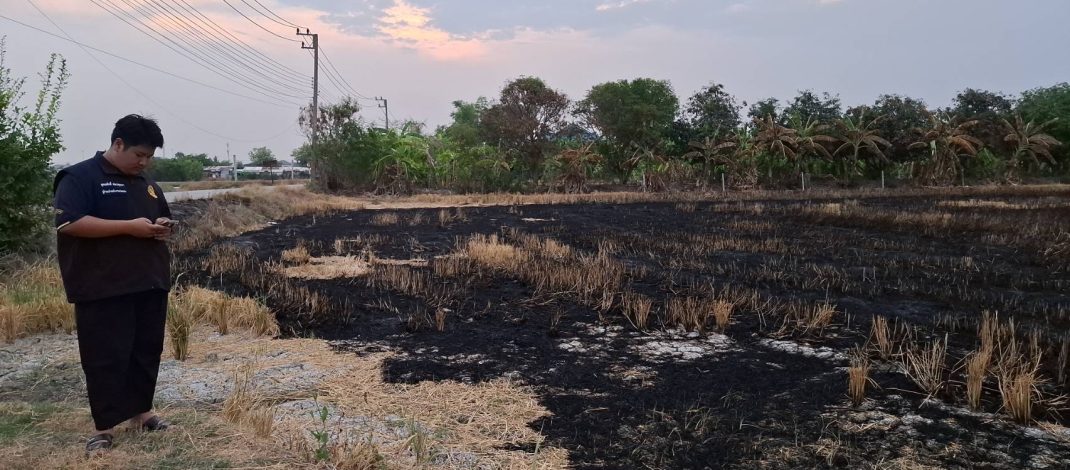 ปทุมธานี นอภ.ฮึ่ม ใครเผาตอซังข้าวในที่นา 40 ไร่ส่งปลัดประสานตำรวจหาคนก่อเหตุ