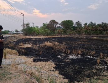 ปทุมธานี นอภ.ฮึ่ม ใครเผาตอซังข้าวในที่นา 40 ไร่ส่งปลัดประสานตำรวจหาคนก่อเหตุ