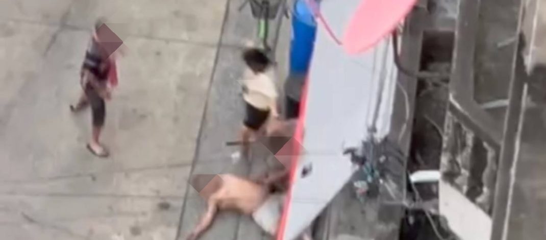 สองพี่น้องถือมีดบุกบ้าน เจอยิงสวนเจ็บ