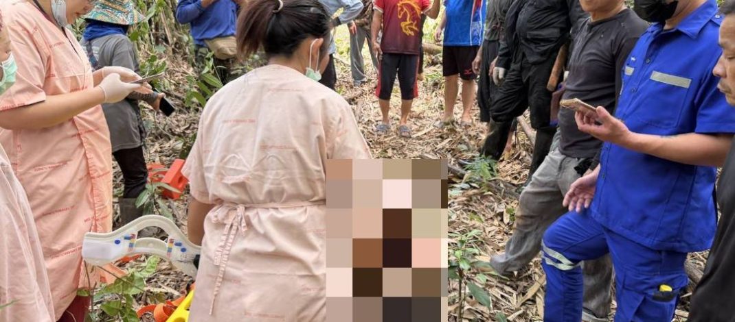 ชายวัย 51 ปี ถูกต้นไม้ล้มทับเสียชีวิตกลางป่า