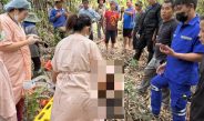 ชายวัย 51 ปี ถูกต้นไม้ล้มทับเสียชีวิตกลางป่า