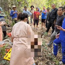 ชายวัย 51 ปี ถูกต้นไม้ล้มทับเสียชีวิตกลางป่า
