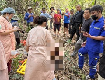 ชายวัย 51 ปี ถูกต้นไม้ล้มทับเสียชีวิตกลางป่า