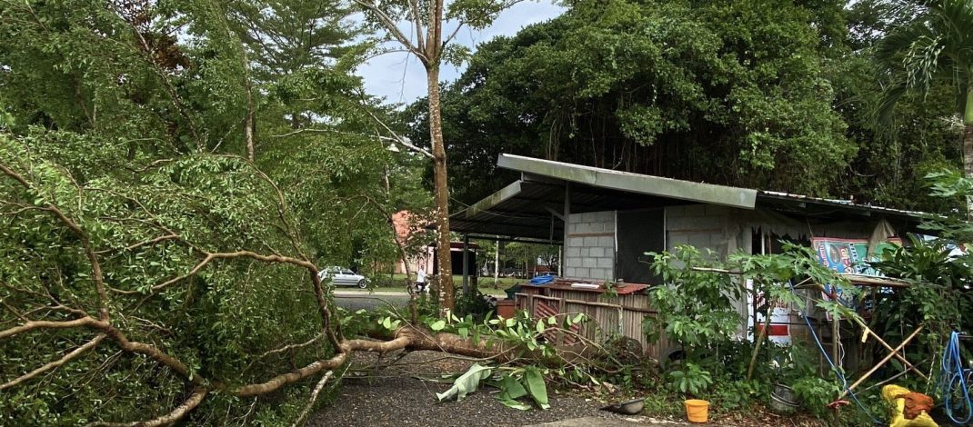 จ.ตราด “ระทึกกลางพิธีเผาศพ! พายุฝนกระหน่ำวัดคลองแอ่ง ต้นหูกระจงยักษ์โค่นล้ม หวิดทับกุฏิเจ้าอาวาส