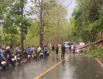 แม่ฮ่องสอน เร่งสำรวจความเสียหายและให้ความช่วยเหลือประชาชน หลังเกิดพายุฤดูร้อนพัดถล่มในพื้นที่ 4 อำเภอ ส่งผลให้บ้านเรือนราษฎรได้รับความเสียหายกว่า 76 หลังคาเรือน ขณะที่หน่วยงานที่เกี่ยวข้องระดมกำลังเข้าคลี่คลายสถานการณ์และเร่งช่วยเหลือเบื้องต้นแล้ว