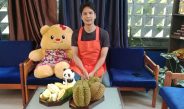 ร้านแม่ลูกหมี อำเภอลับแล จังหวัดอุตรดิตถ์ แหล่งจำหน่ายทุเรียนคัดเกรดทุเรียนหลงลับแล และหลินลับแล ทุเรียนพันธุ์พื้นเมืองของอำเภอลับแล จังหวัดอุตรดิตถ์ ที่อร่อยที่สุด