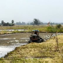 ลพบุรี คึกคักเกษตรกรชาวนาเตรียมพื้นที่ปลูกข้าวในวันพืชมงคล