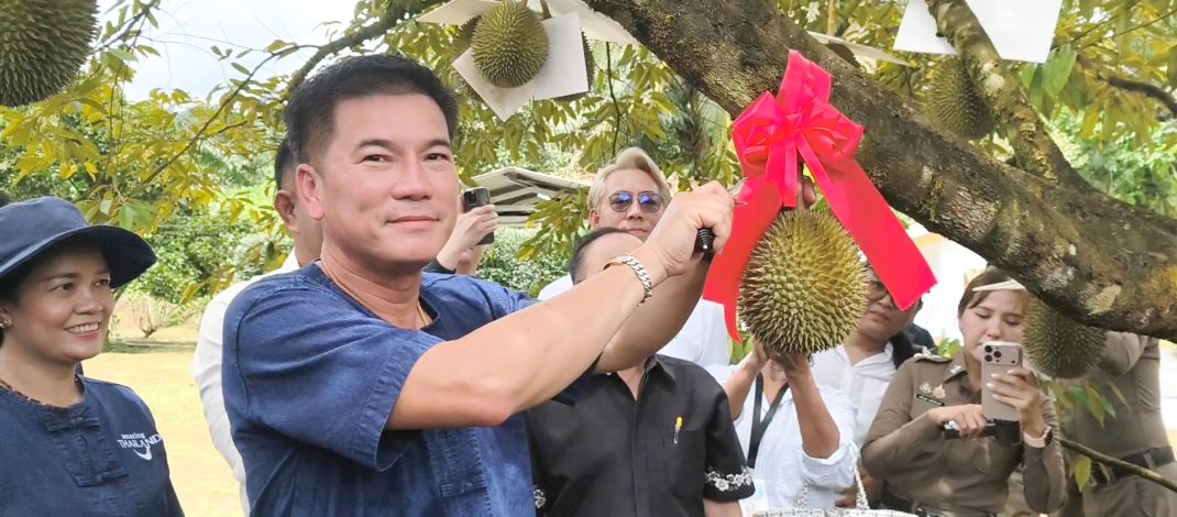 พังงา-ผู้ว่าตัดทุเรียนสาลิกามีดแรก เปิดฤดูกาลผลไม้พังงา ททท.พังงา แจกคูปองกินผลไม้ 34สวนให้นักท่องเที่ยวช่วง Green Season