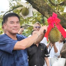 พังงา-ผู้ว่าตัดทุเรียนสาลิกามีดแรก เปิดฤดูกาลผลไม้พังงา ททท.พังงา แจกคูปองกินผลไม้ 34สวนให้นักท่องเที่ยวช่วง Green Season