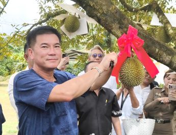 พังงา-ผู้ว่าตัดทุเรียนสาลิกามีดแรก เปิดฤดูกาลผลไม้พังงา ททท.พังงา แจกคูปองกินผลไม้ 34สวนให้นักท่องเที่ยวช่วง Green Season