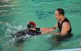 กาญจนบุรี – เทศบาลตำบลทองผาภูมิ ตระหนักและให้ความสำคัญ จัดโครงการทองผาภูมิ ซัมเมอร์คอร์สขึ้นเพื่อช่วยให้เด็กมีทักษะในการเอาตัวรอดในน้ำ