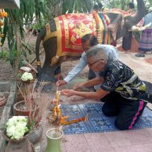 กาฬสินธุ์ สืบสานประเพณีเลี้ยงผีปู่ตาบุญซำฮะ ฮือฮาเลขเด็ด 3 ตัวตรงโผล่กลางพิธี