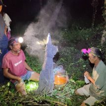 นครนายก – ชาวบ้านฮือฮาจอมปลวกรูปสุนัขทำน้ำมนต์ ตรงกับเลขธูป