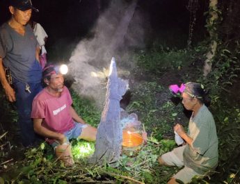 นครนายก – ชาวบ้านฮือฮาจอมปลวกรูปสุนัขทำน้ำมนต์ ตรงกับเลขธูป