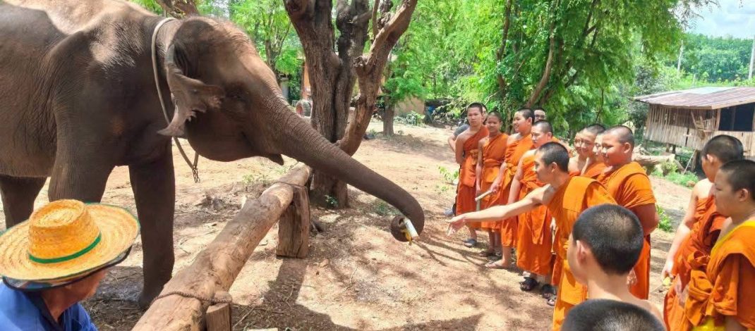 โรงเรียนพระปริยัติธรรมวัดพระธาตุแช่แห้ง ร่วมโครงการ “เรียนรู้ถิ่น แผ่นดินเกิด จังหวัดน่าน” เปิดประสบการณ์เรียนรู้ดาราศาสตร์และวิถีช้างน่าน