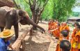 โรงเรียนพระปริยัติธรรมวัดพระธาตุแช่แห้ง ร่วมโครงการ “เรียนรู้ถิ่น แผ่นดินเกิด จังหวัดน่าน” เปิดประสบการณ์เรียนรู้ดาราศาสตร์และวิถีช้างน่าน