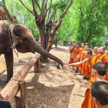โรงเรียนพระปริยัติธรรมวัดพระธาตุแช่แห้ง ร่วมโครงการ “เรียนรู้ถิ่น แผ่นดินเกิด จังหวัดน่าน” เปิดประสบการณ์เรียนรู้ดาราศาสตร์และวิถีช้างน่าน