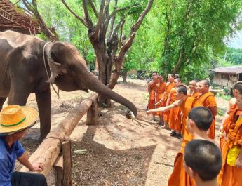 โรงเรียนพระปริยัติธรรมวัดพระธาตุแช่แห้ง ร่วมโครงการ “เรียนรู้ถิ่น แผ่นดินเกิด จังหวัดน่าน” เปิดประสบการณ์เรียนรู้ดาราศาสตร์และวิถีช้างน่าน