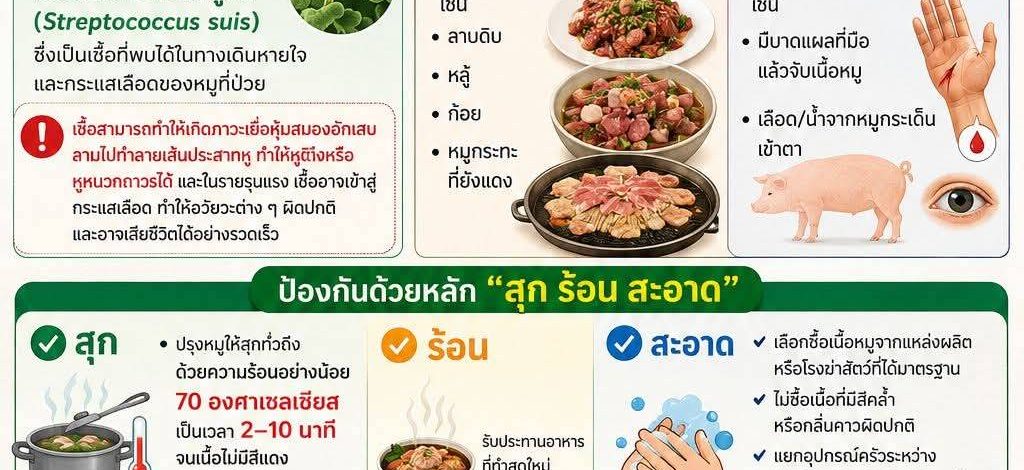 ด่วนโรงพยาบาลสมเด็จพระยุพราชปัว เตือนภัย “ไข้หูดับ” พบผู้ป่วยแล้ว 3 ราย วอนประชาชนงดกินหมูดิบ เสี่ยงหูหนวก-เสียชีวิตเตือนสาย “ดิบ” ระวัง! “ไข้หูดับ” อันตรายกว่าที่คิด