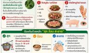 ด่วนโรงพยาบาลสมเด็จพระยุพราชปัว เตือนภัย “ไข้หูดับ” พบผู้ป่วยแล้ว 3 ราย วอนประชาชนงดกินหมูดิบ เสี่ยงหูหนวก-เสียชีวิตเตือนสาย “ดิบ” ระวัง! “ไข้หูดับ” อันตรายกว่าที่คิด