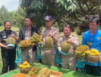 สุรินทร์ พร้อมรับนักท่องเที่ยว เปิดแล้วสวนทุเรียนชายแดน ทุเรียนภูเขาไฟพนมดงรัก ผู้ว่าสุรินทร์นำตัดลูกแรกเบิกฤกษ์ การันตีความอร่อย พร้อมเชิญชวนนักท่องเที่ยวเข้าสัมผัสชิมและเที่ยวชมปราสาทตาควายและ สดุดีวีรบุรุษทหารกล้า เนิน 350 ยันสถานการณ์ชายแดนปกติปลอดภัย