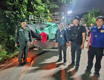 อีกแล้ว ! สจป.3แพร่ “สั่งเข้ม” ให้บูรณาการกำลังจับกุมขบวนการไม้เถื่อน- ไม้สักท่อน,แปรรูป พร้อมยาบ้า