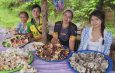 นครพนม “ร้อนสลับฝน” ดันตลาดเห็ดป่าท่าอุเทนคึกคัก เซียนเก็บเห็ดยิ้มรายได้สะพัดวันละหลายพัน