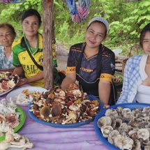 นครพนม “ร้อนสลับฝน” ดันตลาดเห็ดป่าท่าอุเทนคึกคัก เซียนเก็บเห็ดยิ้มรายได้สะพัดวันละหลายพัน