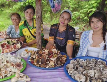 นครพนม “ร้อนสลับฝน” ดันตลาดเห็ดป่าท่าอุเทนคึกคัก เซียนเก็บเห็ดยิ้มรายได้สะพัดวันละหลายพัน