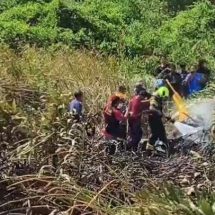 เฮลิคอปเตอร์ส่วนตัวเครื่องยนต์ขัดข้องร่วงตกกลางป่าหญ้า ไฟลุกท่วมเครื่อง เจ้าของโรงงานพร้อมกัปตันหนีตายหวุดหวิด บาดเจ็บเพียงเล็กน้อย