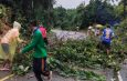 ฝนตกหนักต่อเนื่อง ทำดินสไลด์ต้นไม้โค่นขวางถนนที่บ้านบางม่า ชาวบ้าน-ฝ่ายปกครองเร่งเคลียร์เส้นทาง