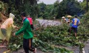 ฝนตกหนักต่อเนื่อง ทำดินสไลด์ต้นไม้โค่นขวางถนนที่บ้านบางม่า ชาวบ้าน-ฝ่ายปกครองเร่งเคลียร์เส้นทาง