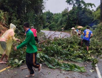 ฝนตกหนักต่อเนื่อง ทำดินสไลด์ต้นไม้โค่นขวางถนนที่บ้านบางม่า ชาวบ้าน-ฝ่ายปกครองเร่งเคลียร์เส้นทาง