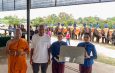 สัญญาณแห่งความอุดมสมบูรณ์! สวนนงนุชพัทยาต้อนรับ ‘พังฟ้ารุ่ง’ ลูกช้างเชือกที่ 2 ใน 1 เดือน”