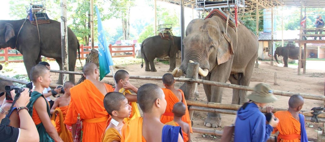 เชียงราย ธรรมชาติยาตราวันที่ 5 เยี่ยมปางช้างกะเหรี่ยงรวมมิตร ตะลึง!ตรวจสารพิษในร่ายกายพันกว่าคน ไม่พบเพียง 1 คน