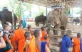 เชียงราย ธรรมชาติยาตราวันที่ 5 เยี่ยมปางช้างกะเหรี่ยงรวมมิตร ตะลึง!ตรวจสารพิษในร่ายกายพันกว่าคน ไม่พบเพียง 1 คน