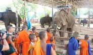 เชียงราย ธรรมชาติยาตราวันที่ 5 เยี่ยมปางช้างกะเหรี่ยงรวมมิตร ตะลึง!ตรวจสารพิษในร่ายกายพันกว่าคน ไม่พบเพียง 1 คน