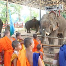 เชียงราย ธรรมชาติยาตราวันที่ 5 เยี่ยมปางช้างกะเหรี่ยงรวมมิตร ตะลึง!ตรวจสารพิษในร่ายกายพันกว่าคน ไม่พบเพียง 1 คน