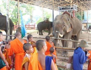 เชียงราย ธรรมชาติยาตราวันที่ 5 เยี่ยมปางช้างกะเหรี่ยงรวมมิตร ตะลึง!ตรวจสารพิษในร่ายกายพันกว่าคน ไม่พบเพียง 1 คน