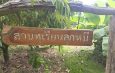 ชัยภูมิ!!!ทุเรียนโอโซนที่ขึ้นชื่อของ อ.เทพสถิต จ.ชัยภูมิ ตัดจากสวนที่เป็นผลไม้สดสู่ไอศครีมในลูกผลไม้ รายได้งาม และ เปิดร้านขายที่ อุทยานแห่งชาติป่าหินงาม ให้กับนักท่องเที่ยว