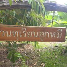 ชัยภูมิ!!!ทุเรียนโอโซนที่ขึ้นชื่อของ อ.เทพสถิต จ.ชัยภูมิ ตัดจากสวนที่เป็นผลไม้สดสู่ไอศครีมในลูกผลไม้ รายได้งาม และ เปิดร้านขายที่ อุทยานแห่งชาติป่าหินงาม ให้กับนักท่องเที่ยว