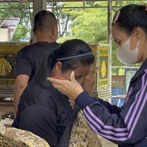กาญจนบุรี – ครูใหญ่โรงเรียนตระเวนชายแดนบ้านเรด้าร์ คณะครู นักเรียน ช่วยกันจัดเตรียมสถานที่ เพื่อเตรียมรับศพน้ององุ่น ชาวมอญเด็กอายุไม่ถึง 12 ปี จะไม่มีการสวดพระอภิธรรม ล่าสุดศาลทองผาภูมิ ไม่ให้ประกันตัว น้าชายและพี่สาวน้ององุ่น ส่งตัวไปยังสถานพินิจฯกาญจนบุรีต่อไป